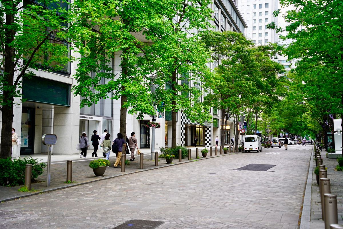 机场出港大厅内的航班信息显示区域
